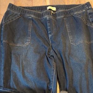 Lane Bryant Dark Blue Women's Cropped Jeans